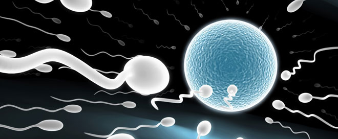 comment avoir beaucoup de spermatozoide